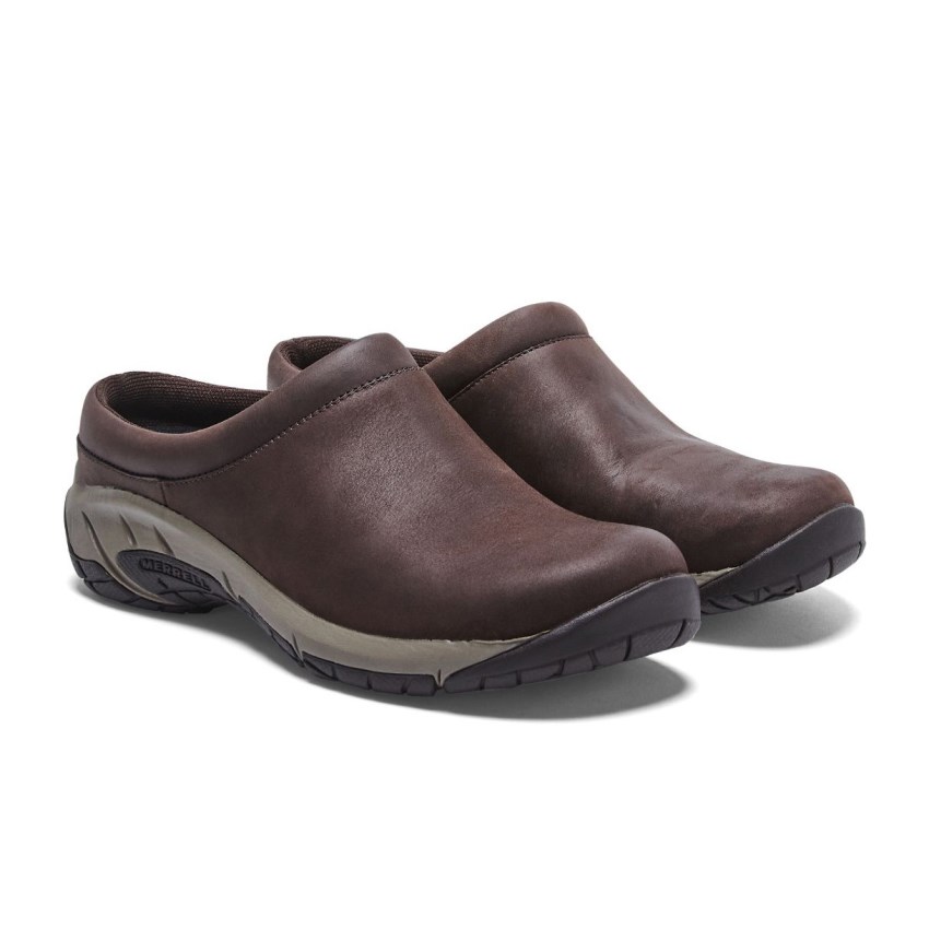 Chaussure Casual Merrell Encore Nova 4 Marron Foncé Femme | O.X.BWBG